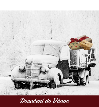 Doručení do Vánoc